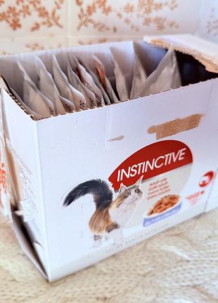 Royal canin instinctive wet in jelly вологий корм (тонкі шматочки в желе) для дорослих котів