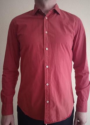 Рубашка хлопковая zara man tailored fit размер s/м