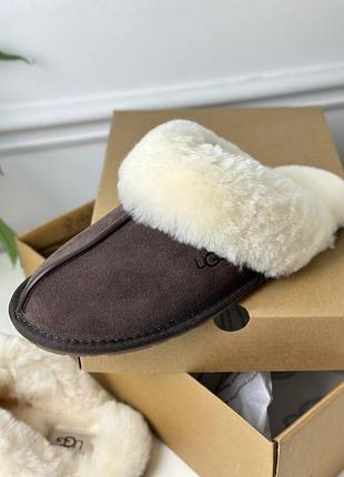 Тапочки бренд ugg