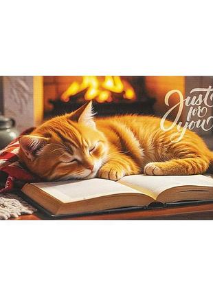 Подарочный конверт для денег для купюр рыжий кот спит на книге у камина just for you 16.5х8 см кв 25-00