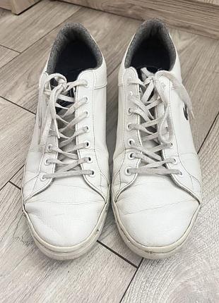 Шкіряні білі чоловічі кеди lacoste