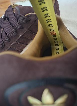 Adidas campus 6