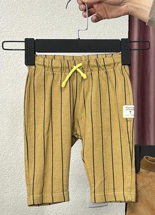 Штани в полоску zara 8557