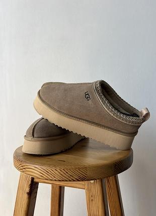 Замшеві махрові тапки ugg tazz ii