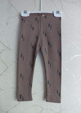 Лосины в рубчик фирмы green cotton