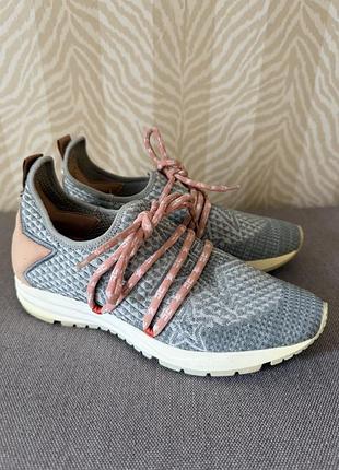 Кросівки elisabetta franchi