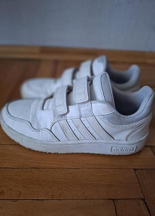 Білі кросівки adidas