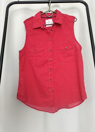 Блуза, сорочка від бренду h&m 100% котон