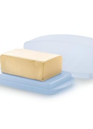 Маслянка tupperware