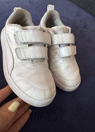 Кросівки puma 5