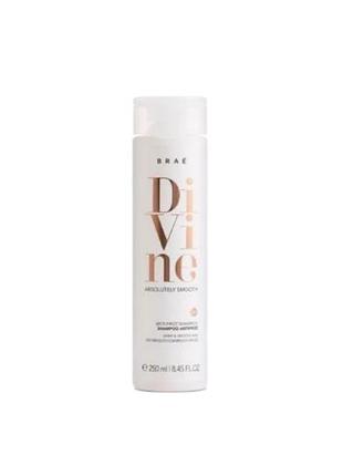 Braé divine anti-frizz shampoo — шампунь для збереження гладкості волосся 1л.