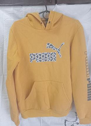Кенгуру хлопчаче puma жовте