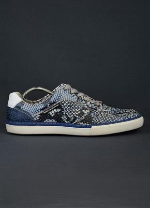 Floris van bommel snake print кроссовки мужские кожаные элегантные со змеиным тиснением оригинал 42-43 р/28 см santoni boss magnani premiata