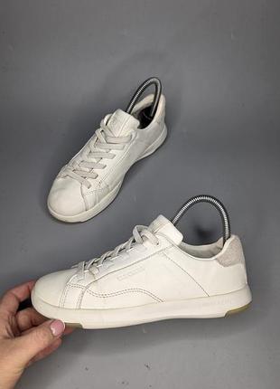 Жіночі кросівки skechers