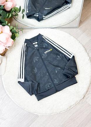 Зіпка adidas 2-3р