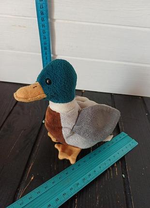 Качка селезень з гранулами ty beanie babies на ім'я jake the mallard duck 1998