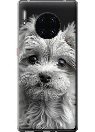 Чехол на huawei mate 30 pro мальтипу на черном фоне из силикона fch_0172576