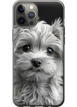Чохол для apple iphone 12 pro max з пластику fch_0172562