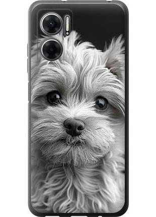 Чехол на xiaomi redmi 10 5g мальтипу на черном фоне из силикона fch_0172682