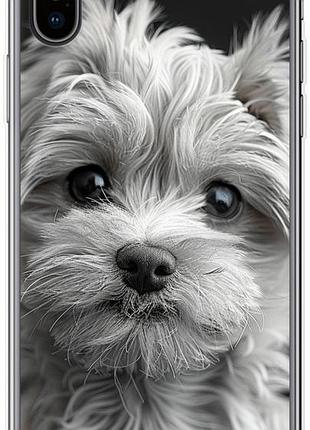 Чехол на iphone x мальтипу на черном фоне из силикона fch_0172639