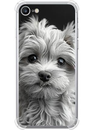 Чехол на iphone 7 мальтипу на черном фоне из силикона fch_0172630