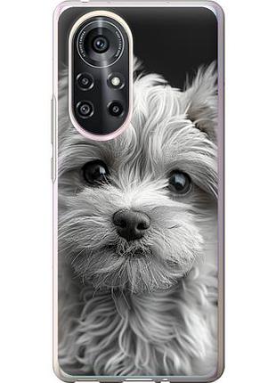 Чехол на huawei nova 8 pro мальтипу на черном фоне из силикона fch_0172567