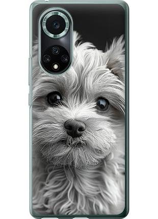 Чехол на huawei nova 9 pro мальтипу на черном фоне из силикона fch_0172568