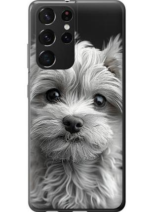 Чехол на samsung galaxy s21 ultra (5g) мальтипу на черном фоне из силикона fch_0172596