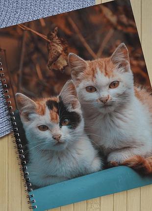 Тетрадь коты на пружине 48 листов линия (33706)