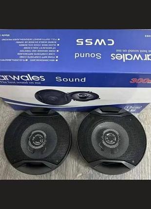 Carwales sound cws5