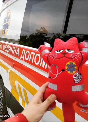 Кот саймон, кот медик, кот в автомобиль для врача