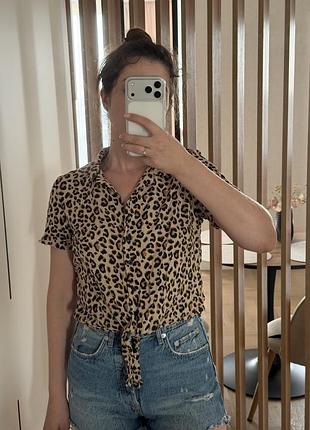 Топ з принтом h&m