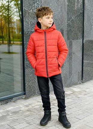 Яскрава демісезонна курточка на хлопчика