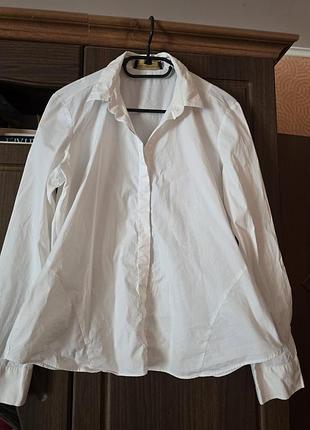 Рубашка paul costelloe