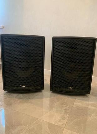 Продам пару акустичних систем soundking 15”