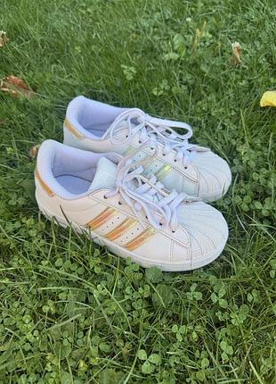 Кросівки adidas superstar