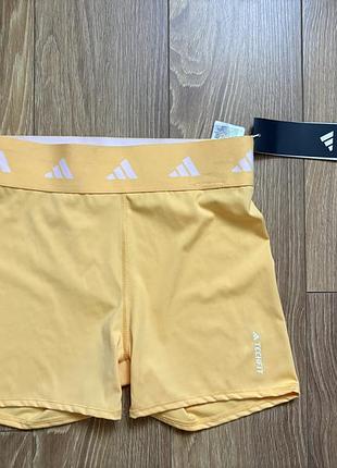Adidas нові шорти