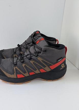 Кроссовки salomon xa pro v8