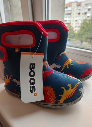 Чобітки bogs