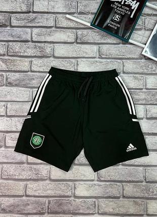 Шорти adidas celtic
