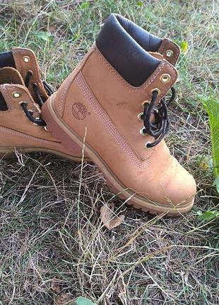 Чоботи timberland 24 cm