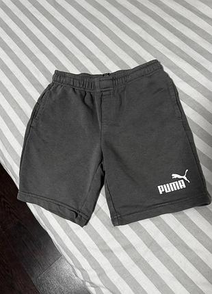 ✨ шорти  puma