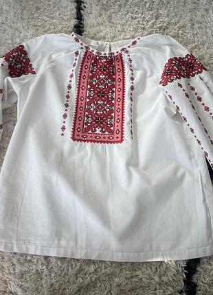 Вишиванка edelvik, 146 розмір