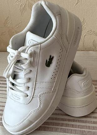 695 кроссовки lacoste