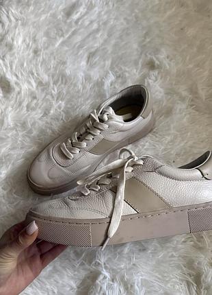 Кеди кросівки massimo duti
