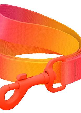 Поводок для собак из нейлона waudog nylon recycled, градиент, цветной карабин,s, ш 15 мм, дл 122 cм, оранжевый