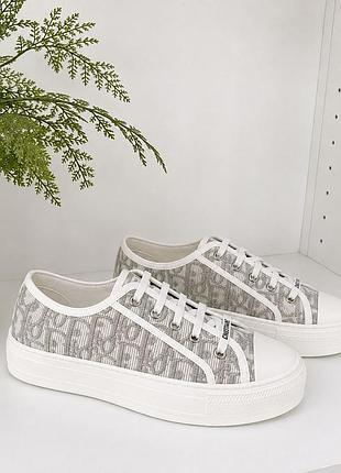 Кеди діор/dior в кольорі grey