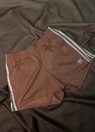Шорти adidas шоколадного кольору