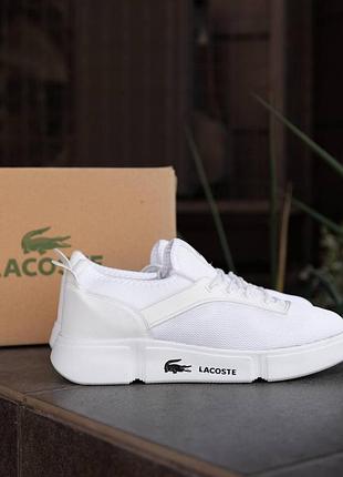 Lacoste white 8