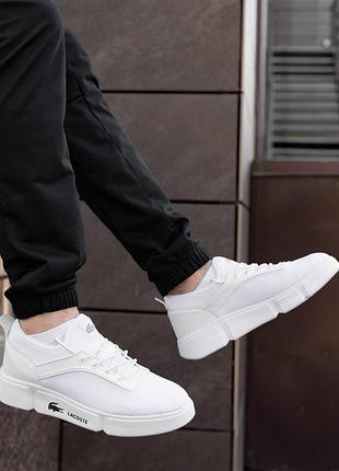 Lacoste white 6